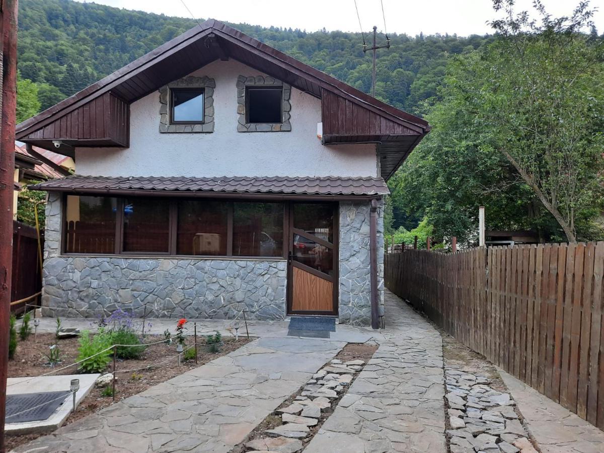 Вилла Casa Crissio Синая Экстерьер фото
